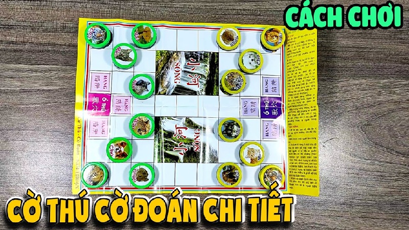 Cách chơi cờ thú chuẩn xác nhất